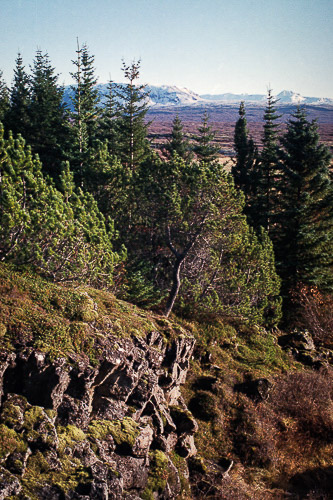 Iceland #MyStopOver Thingvellir, Cercle d'Or