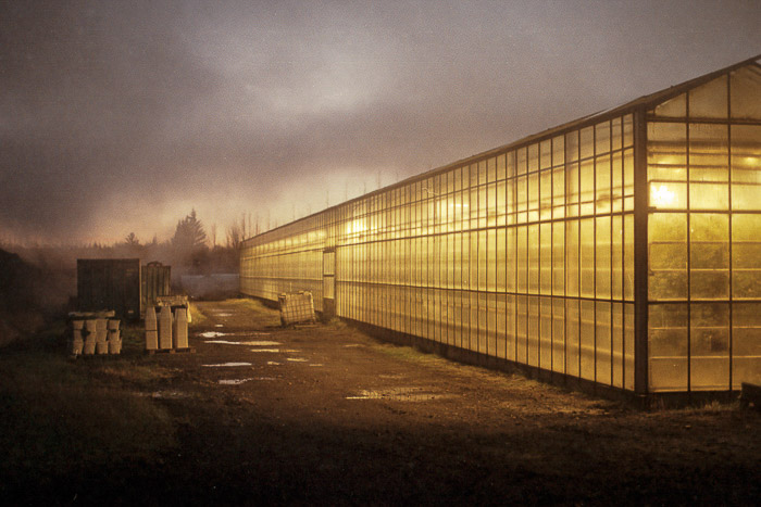 Iceland #MyStopOver Fluðir, serres