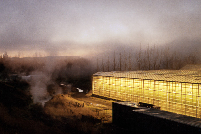 Iceland #MyStopOver Fluðir, serres