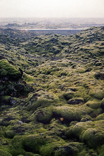 Iceland #MyStopOver 