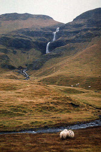 Iceland #MyStopOver 