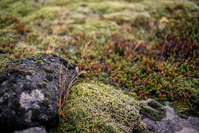 Iceland #MyStopOver 