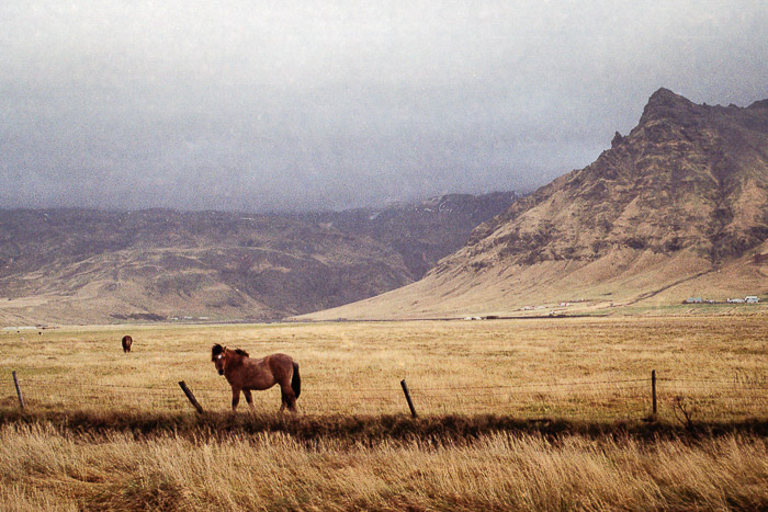 Iceland #MyStopOver 
